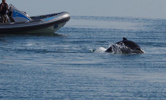 Image Credit: Rib Ride